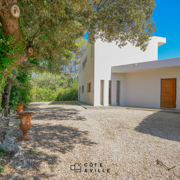 CELONY – Image 7