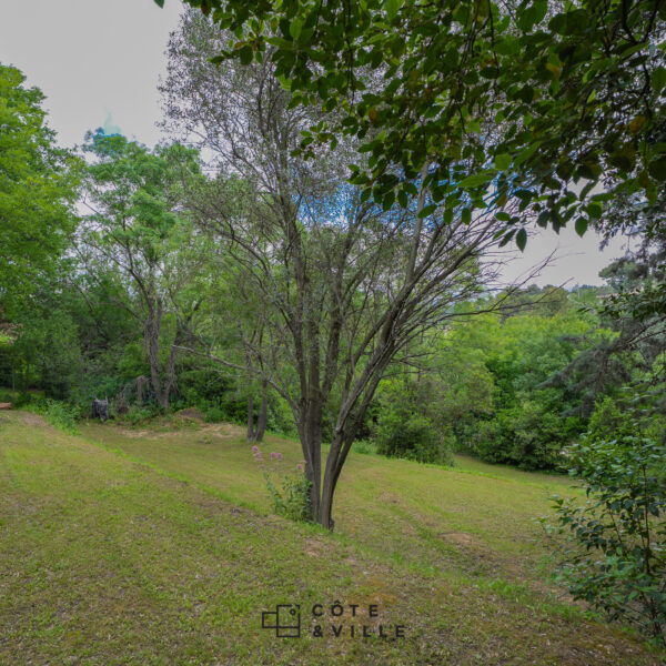 CHEMIN DES OLIVIERS – Image 6