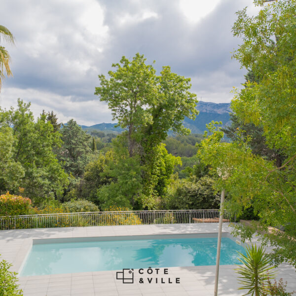 CHEMIN DES OLIVIERS – Image 2