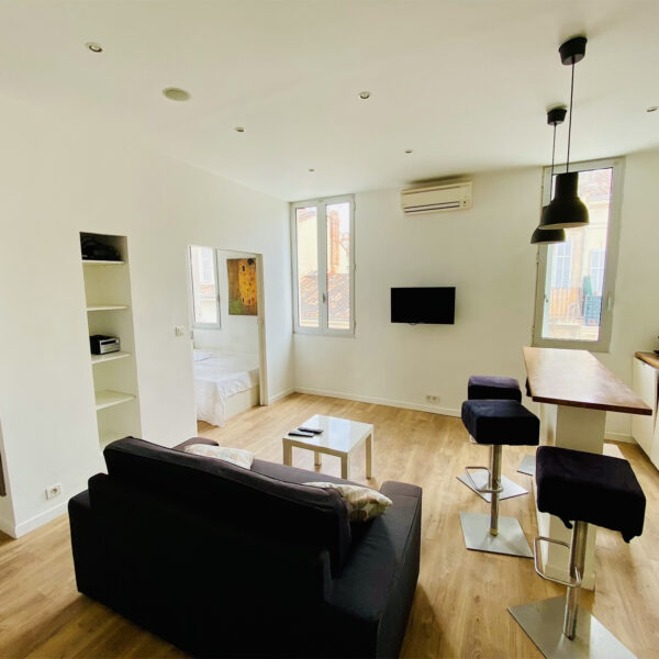 Magnifique T2 de 32m2 meublé, lumineux et rénové avec gout et des matériaux de qualité !